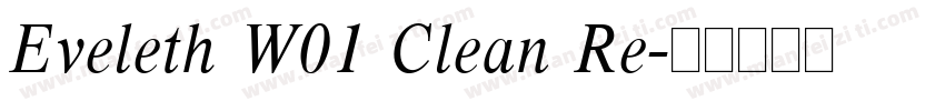 Eveleth W01 Clean Re字体转换